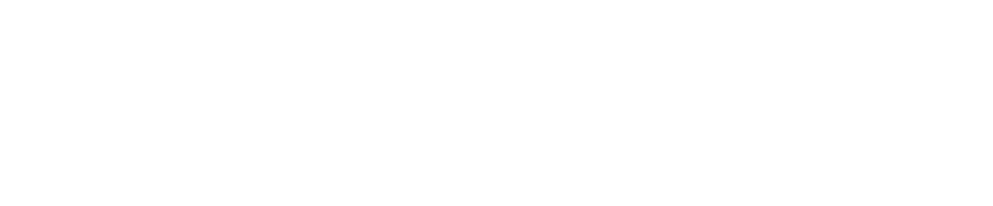 Health & Medical Care Archive, Data Archive of the Robert Wood Johnson Foundation